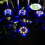 Colorful Solar Garden Light – environmentally friendly