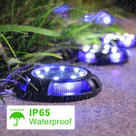 Colorful Solar Garden Light – environmentally friendly