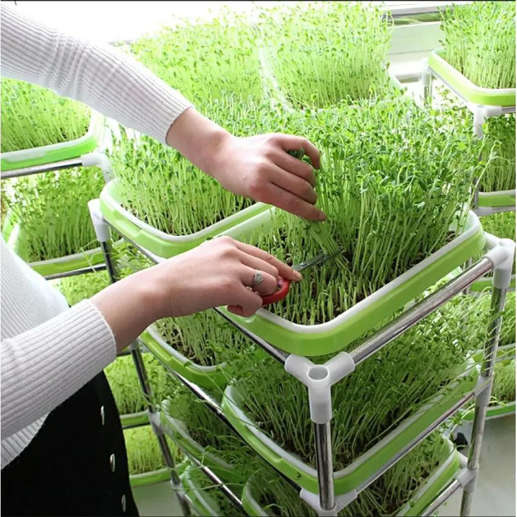 FrischeKeim Set | Zweischichtiges System für Microgreens | BPA-frei