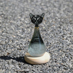 Cat Design Weather Forecast Bottle