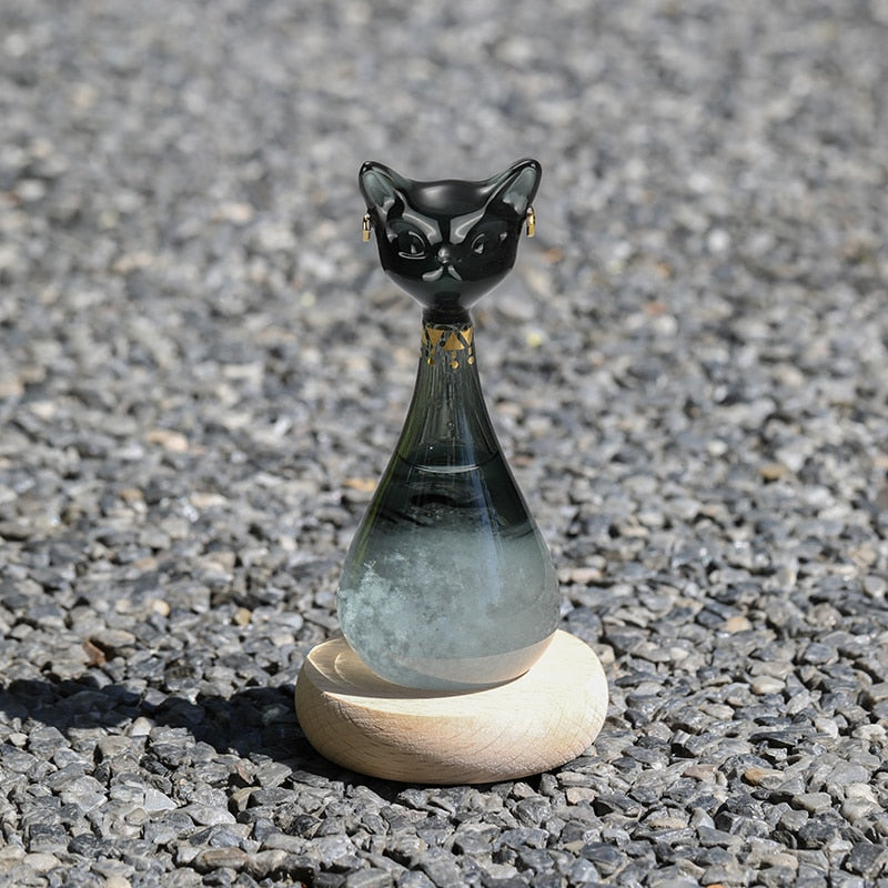 Cat Design Weather Forecast Bottle