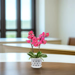 KlarGlanz | 5er Set Transparente Blumentöpfe für Orchideen | Stabile Konstruktion mit Drainage