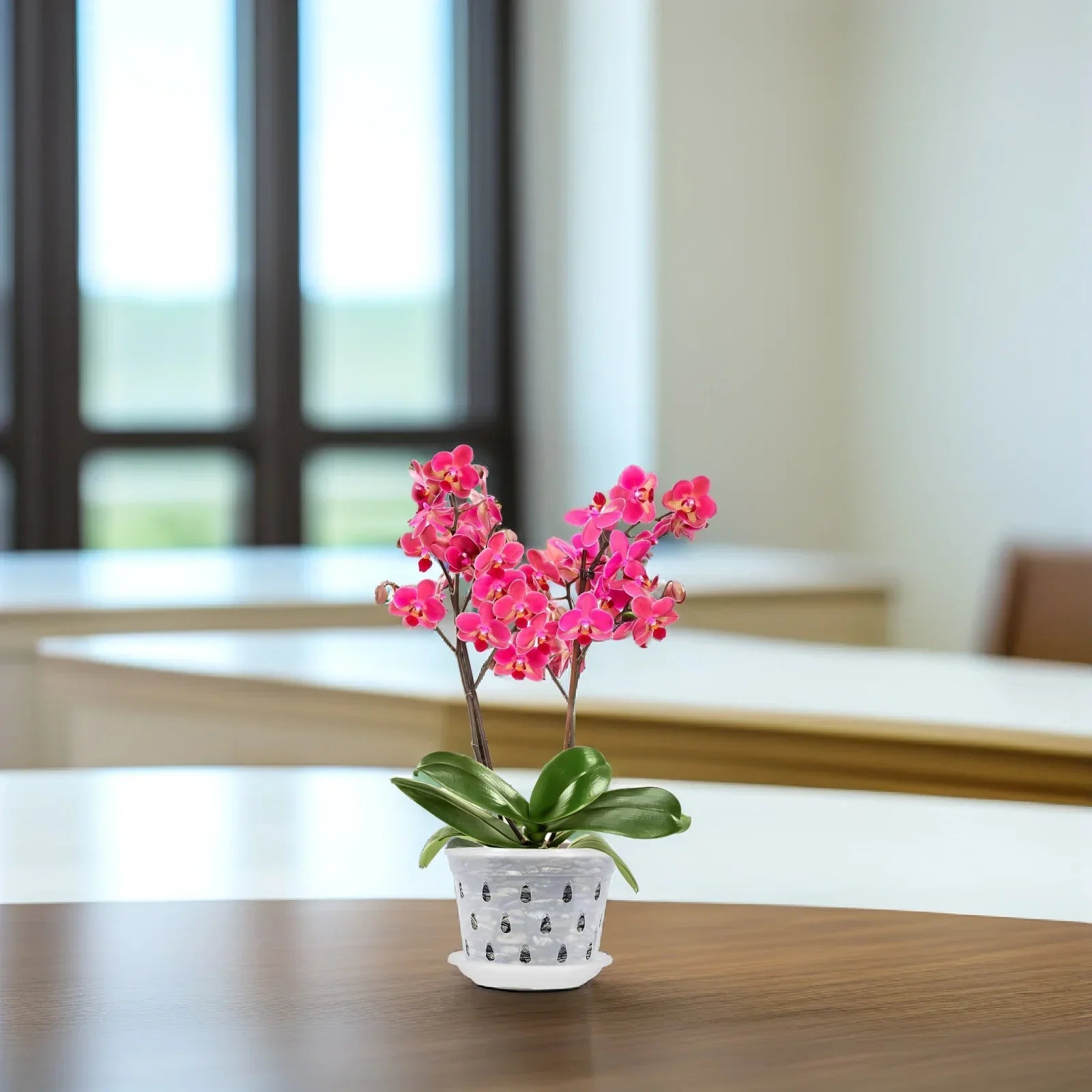 KlarGlanz | 5er Set Transparente Blumentöpfe für Orchideen | Stabile Konstruktion mit Drainage