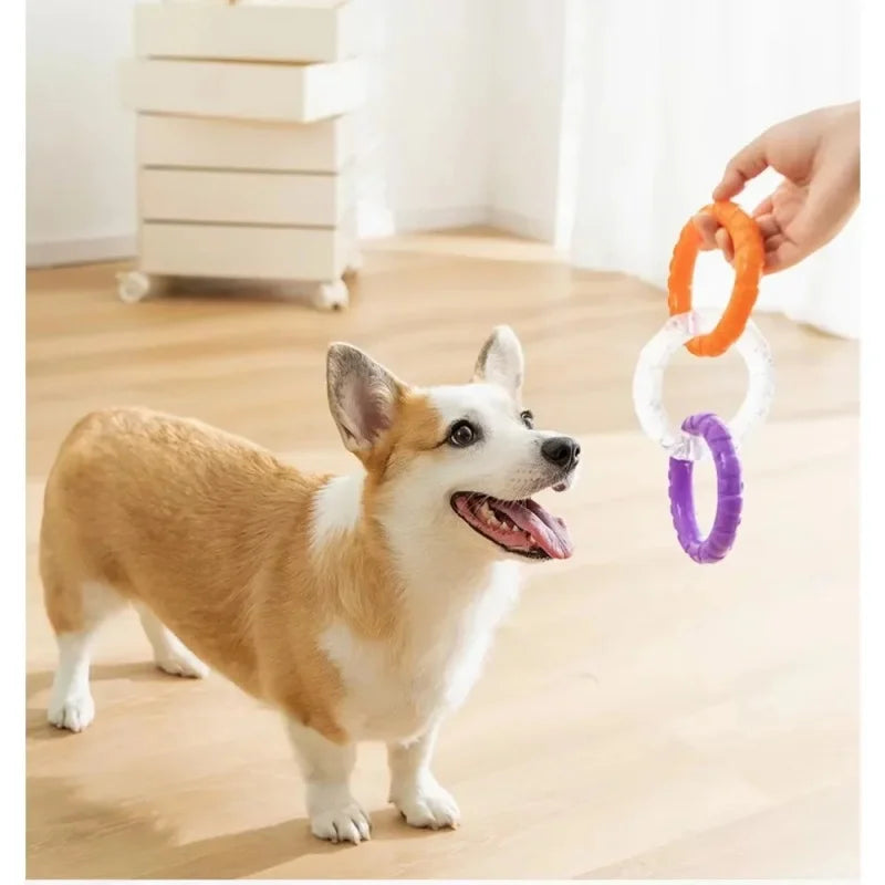 Robustes Kau Spielzeug für Hunde mit 3 Ringen, zahnfreundlich