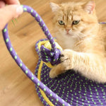 2-in-1 Kratzteppich und Spielmatte für Katzen
