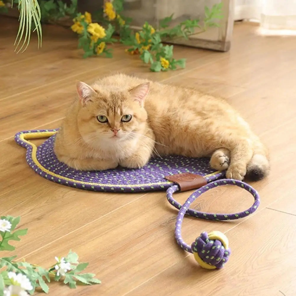 2-in-1 Kratzteppich und Spielmatte für Katzen