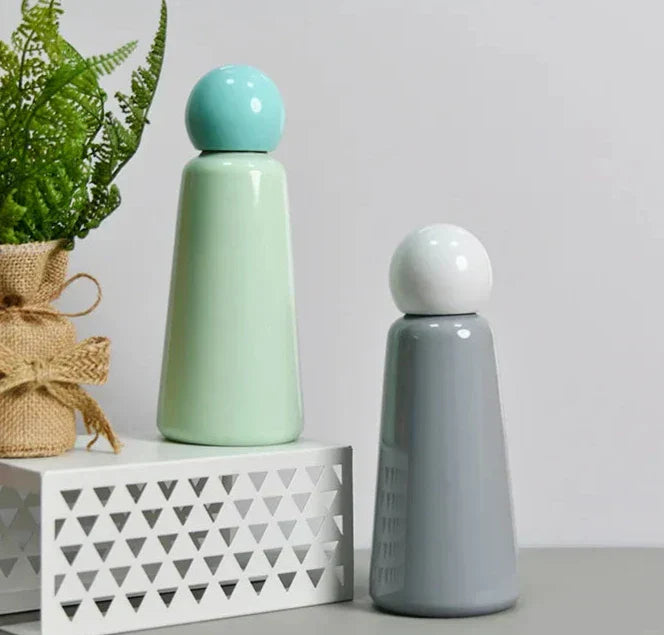Elegant stainless steel bottle with dual color design