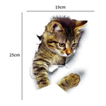 3D Katzenillusion für Ihre Toilette | PurrfectDesign