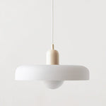 Bauhaus Pendant Light Voltyx