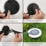 Adjustable Solar Garden Light with 360° Light Control