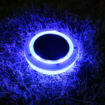 Energieeffiziente LED-Poolbeleuchtung | Schwimmend & wasserdicht in Blau