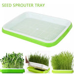 FrischeKeim Set | Zweischichtiges System für Microgreens | BPA-frei