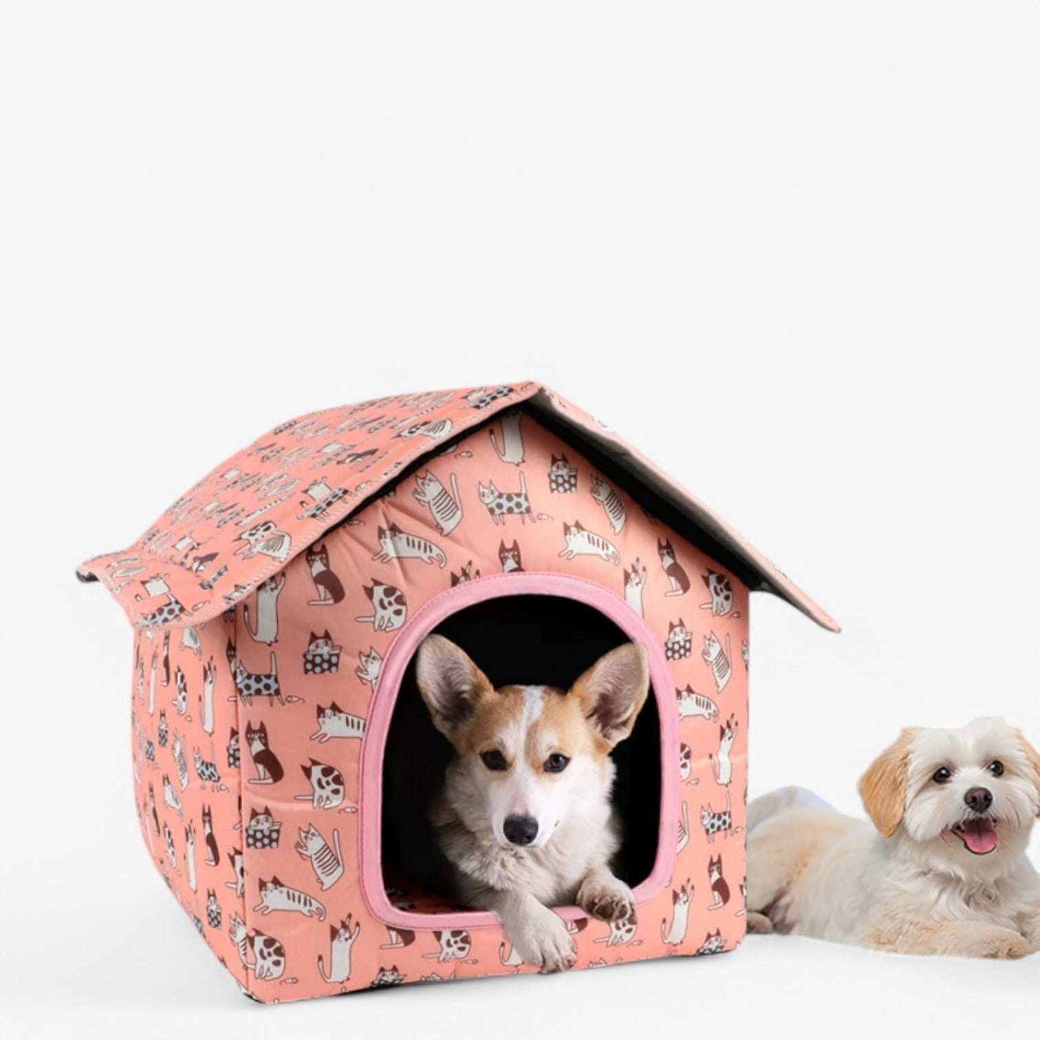 Weatherproof Pet House "CozyNest" for Cats and Small Dogs