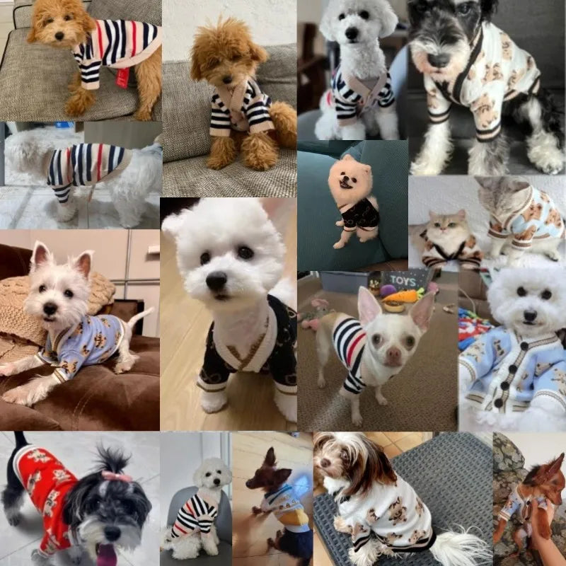 Striped Knitted Dog Sweater – Warm Cardigan