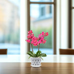 KlarGlanz | 5er Set Transparente Blumentöpfe für Orchideen | Stabile Konstruktion mit Drainage