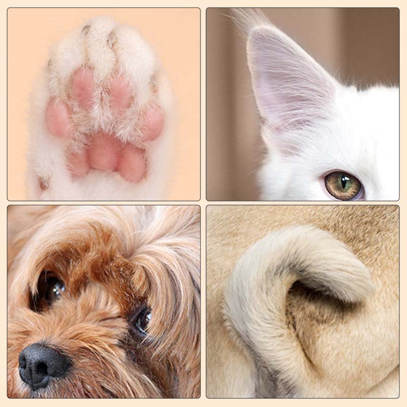 PawGlow™ | LED Pet Hair Trimmer