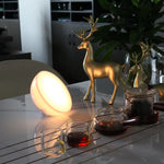 Intelligente RGBW Nachttischlampe mit Sprachsteuerung und Musik-Synchronisation