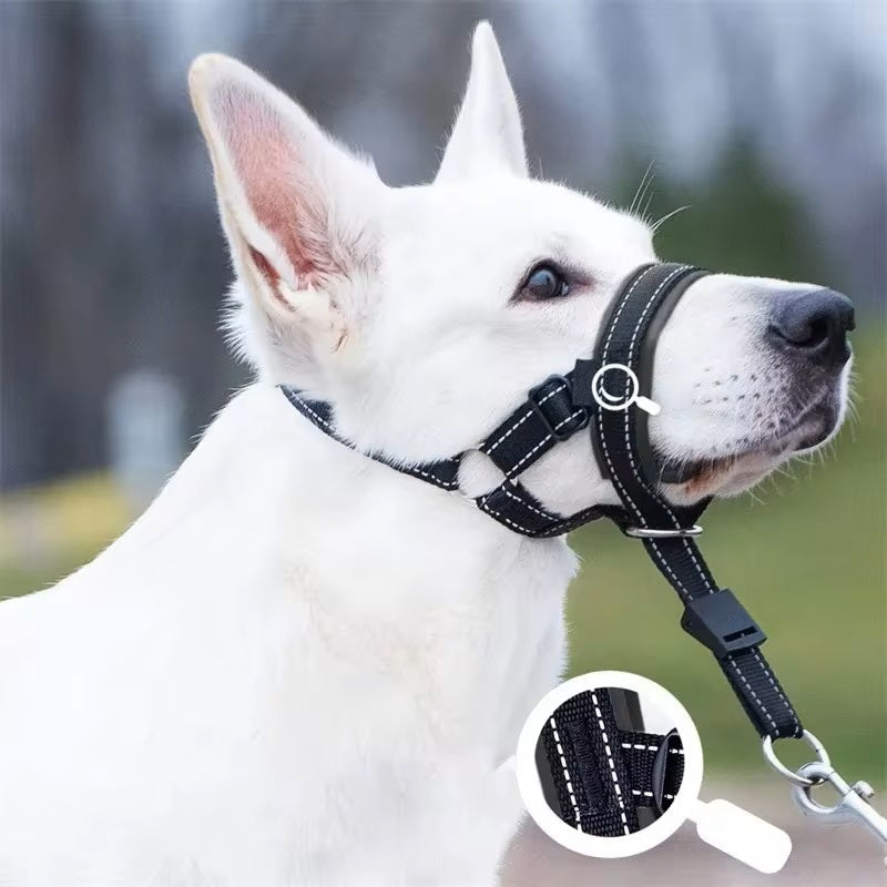 SnoutPro | Beruhigen Sie Ihr Haustier ohne Stress