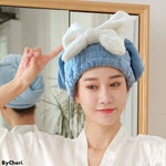 QuickDryer™ | Perfectly dry your hair in minutes!
