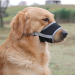 SoftSnout | Stoppe Bellen und Beißen mit Leichtigkeit