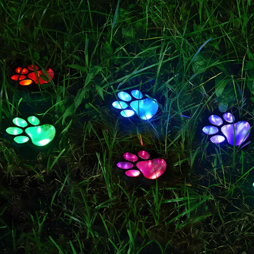 Solar-Powered LED Garden Lights – Weatherproof Path Lighting with Automatic Sensor Control