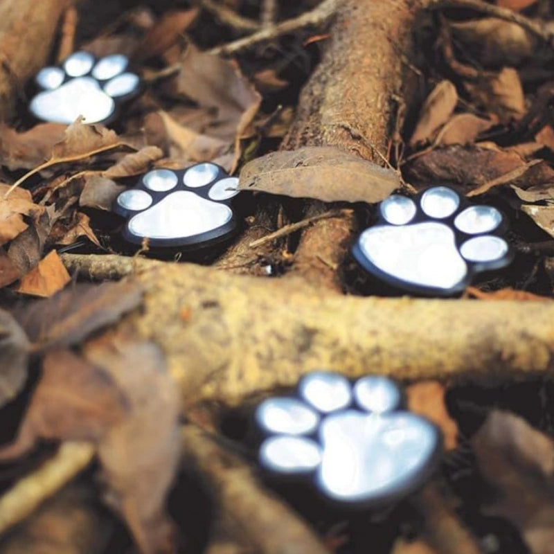 Solar-Powered LED Garden Lights – Weatherproof Path Lighting with Automatic Sensor Control