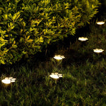 Solar-Powered LED Garden Lights – Weatherproof Path Lighting with Automatic Sensor Control