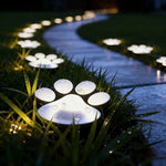 Solar-Powered LED Garden Lights – Weatherproof Path Lighting with Automatic Sensor Control