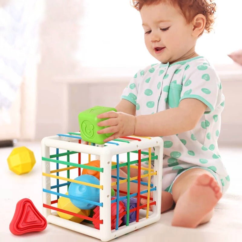 Montessori Sortierwürfel - Fördert Erkennung und Fähigkeiten