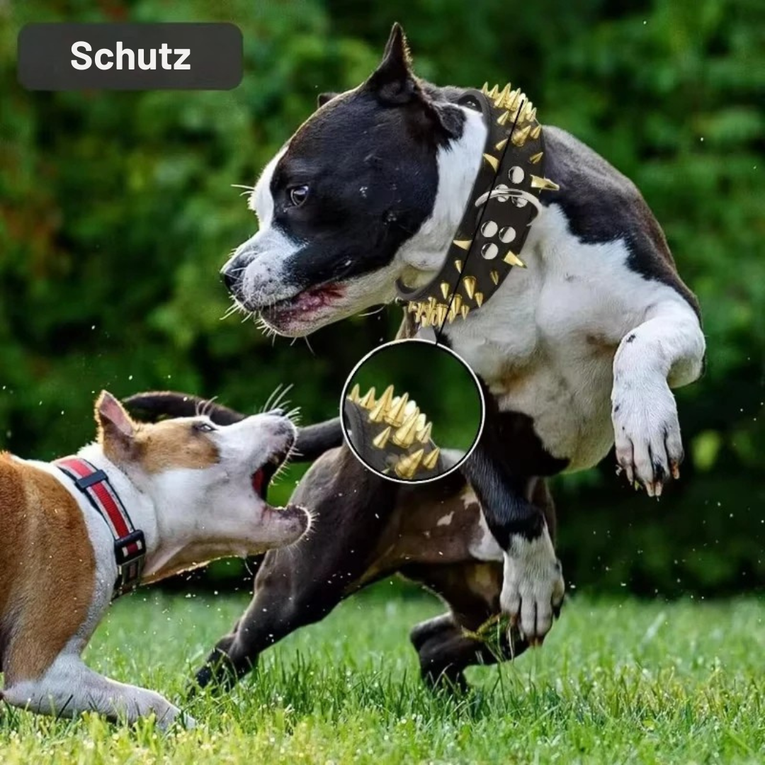 Stud Collar for Large Dogs