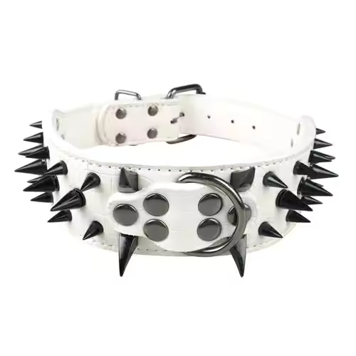 Stud Collar for Large Dogs