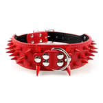 Stud Collar for Large Dogs