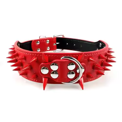 Stud Collar for Large Dogs