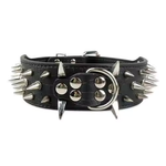 Stud Collar for Large Dogs