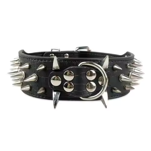 Stud Collar for Large Dogs