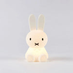 Simple Table Lamp | Stylish Home Highlight | Minimalist Bunny Figurine | LightNest