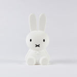 Simple Table Lamp | Stylish Home Highlight | Minimalist Bunny Figurine | LightNest