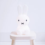 Simple Table Lamp | Stylish Home Highlight | Minimalist Bunny Figurine | LightNest