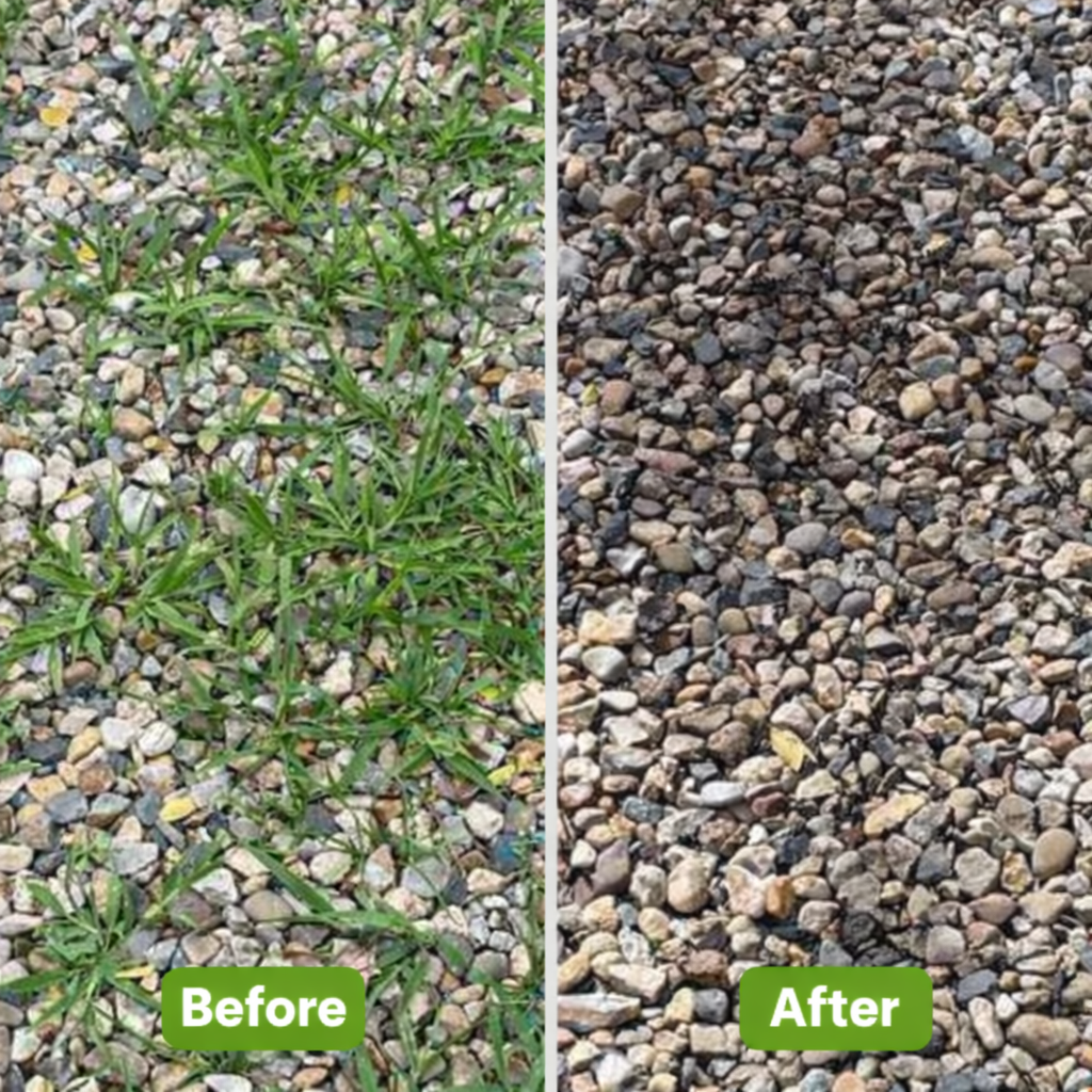 Efficient Weed Burner | Chemical-Free Weed Control | Adjustable Flame