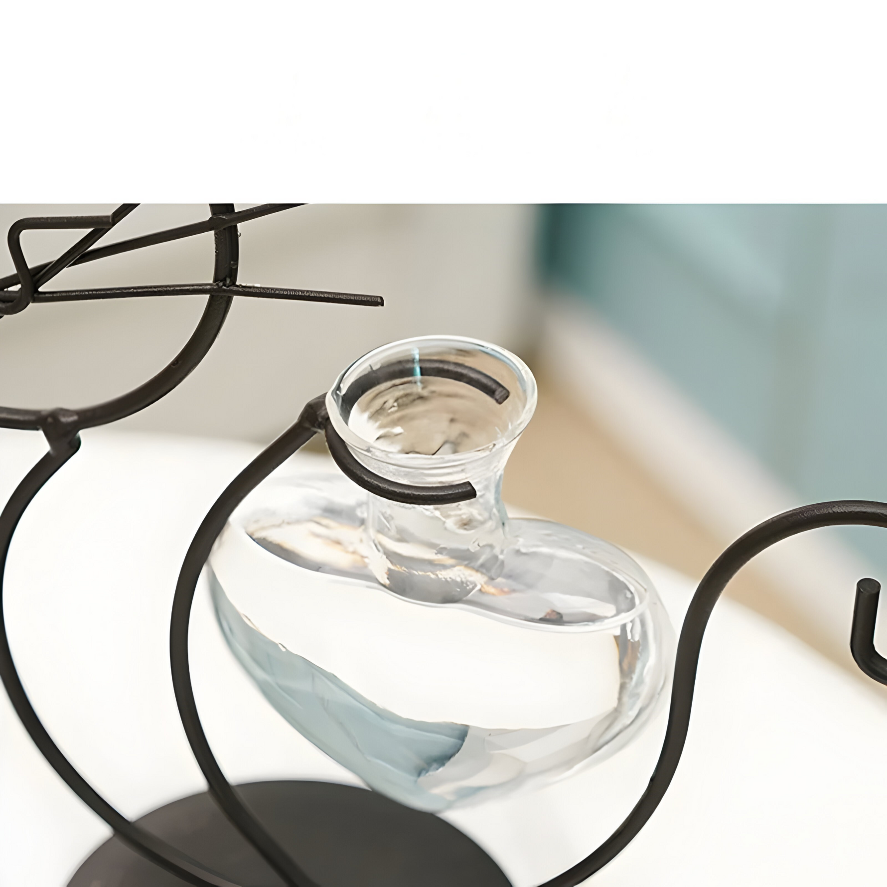 Hydroponische Glasvase in Herzform mit Katzenhalter