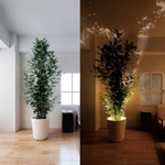 LumosPro | Compact Dimmable LED Spotlight | Cordless Accent Light for Home & Office
