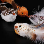 Cat Toy – Interactive Bird for Hours of Fun