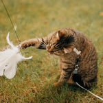 Cat Toy – Interactive Bird for Hours of Fun