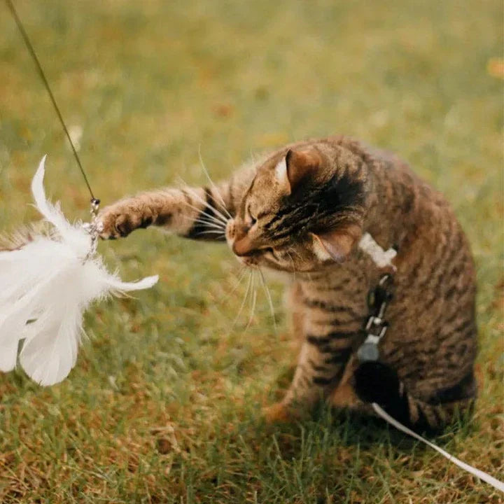 Cat Toy – Interactive Bird for Hours of Fun