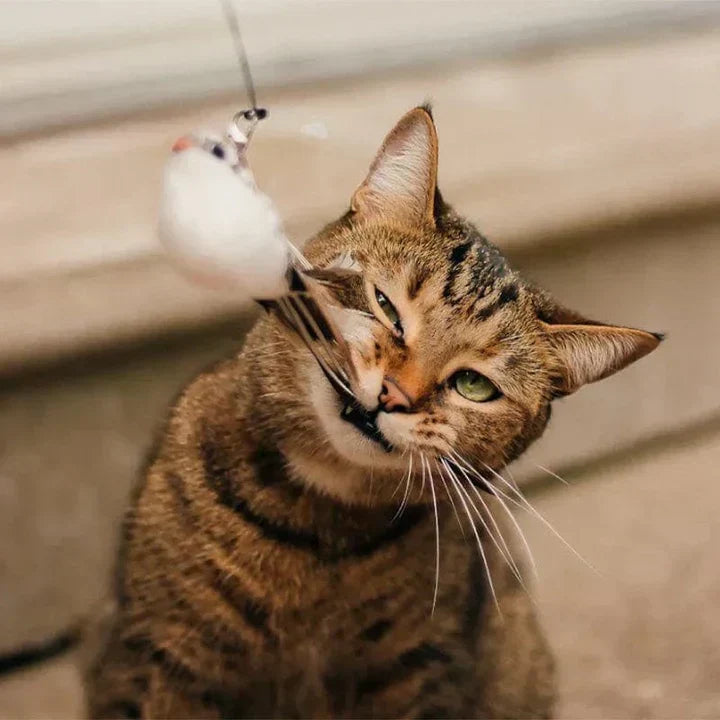 Cat Toy – Interactive Bird for Hours of Fun