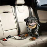 Adjustable Elastic Shock-Absorbing Dog Car Seat Belt