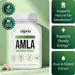 Amla Supplement Capsules Standardized Extract Cellular Energy Support