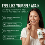 Amla Supplement Capsules Standardized Extract Cellular Energy Support