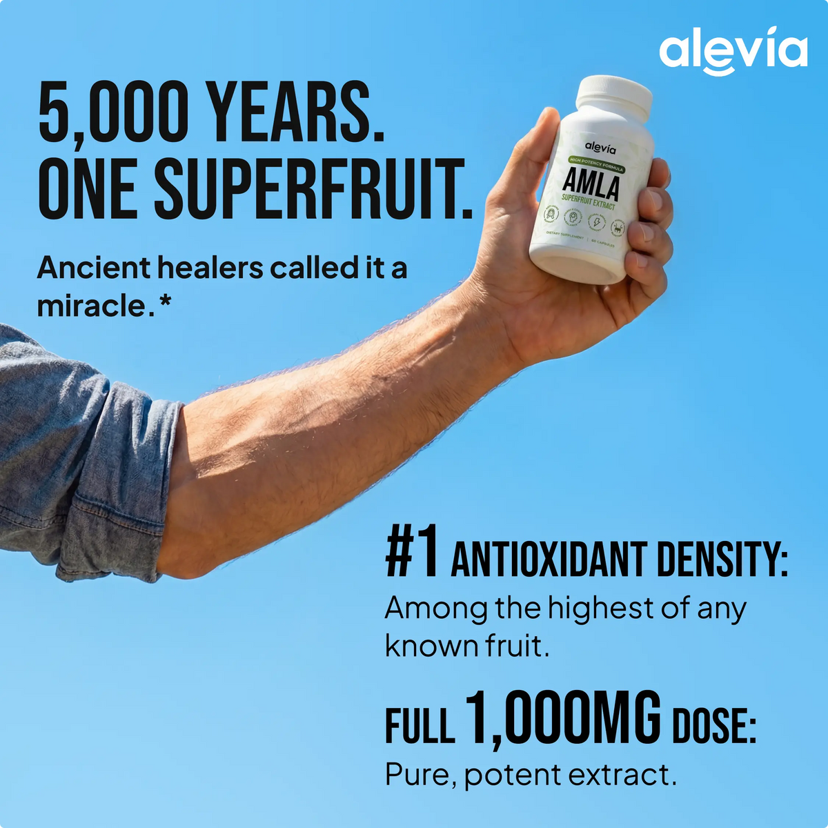 Amla Supplement Capsules Standardized Extract Cellular Energy Support