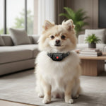 Anti-Bark Collar Sound & Vibration Waterproof 30-Day Battery Life
